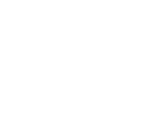 DP-Logo-Stacked-white damians painting chicagos best painting company