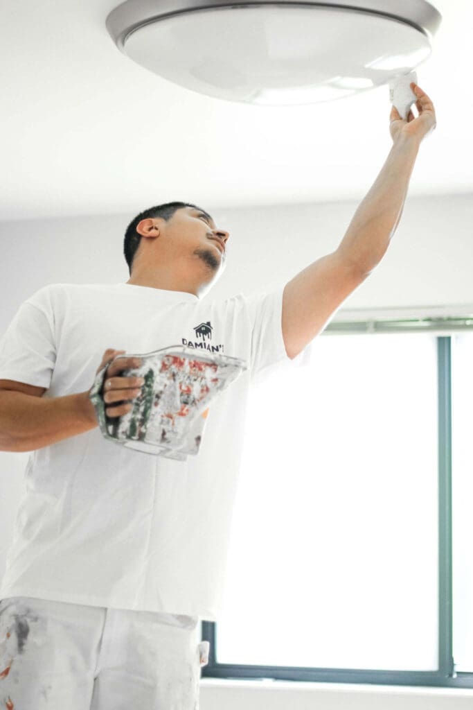 damians painting services des plains il