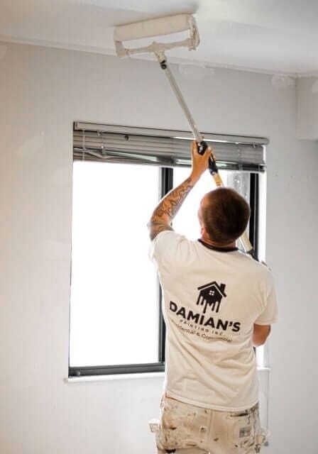 damians painting company top rated des plains il